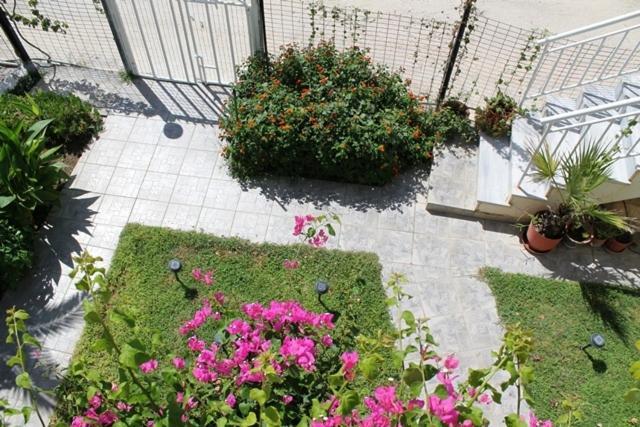 Alkioni Studios Vatera Ngoại thất bức ảnh